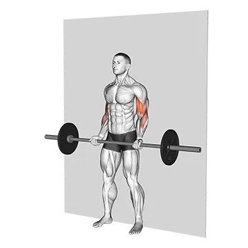 Barbell Srtict Curl
