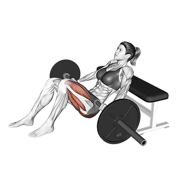 Barbell Staggered Stance Hip Thrust