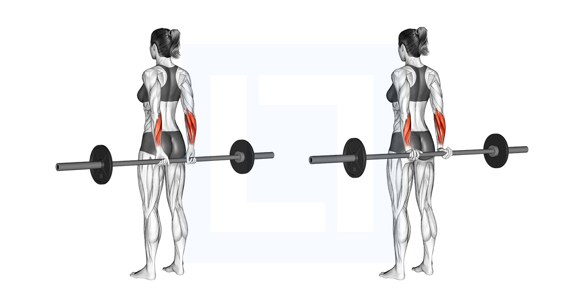 Barbell Standing Back Wrist Curl