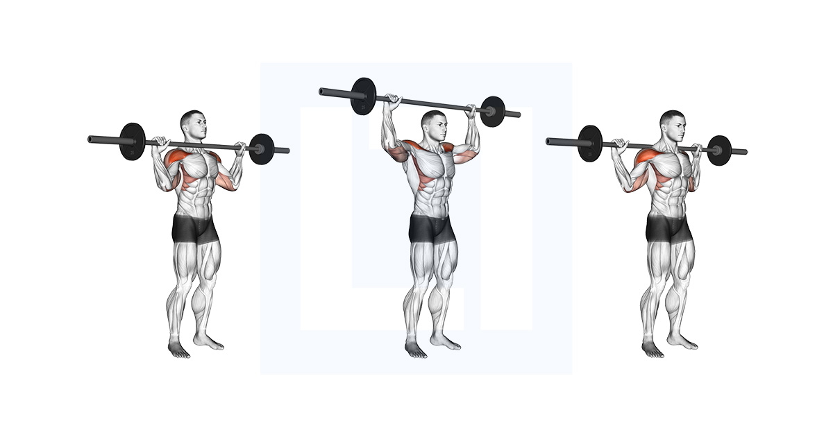 Barbell Standing Bradford Press