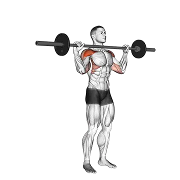 Barbell Standing Bradford Press