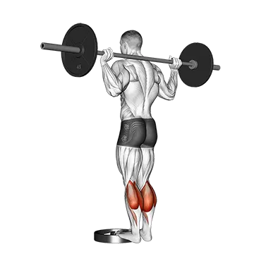 How To Grow Your Calves Barbell Standing Calf Raise