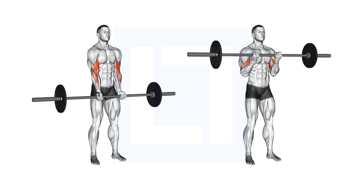 Barbell Standing Close Grip Curl