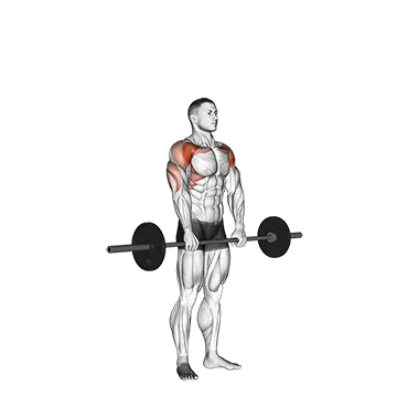 Best Front Delt Exercises Barbell Standing Front Raise Over Head
