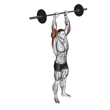 Best Long Head Tricep Exercises Barbell Standing Overhead Triceps Extension