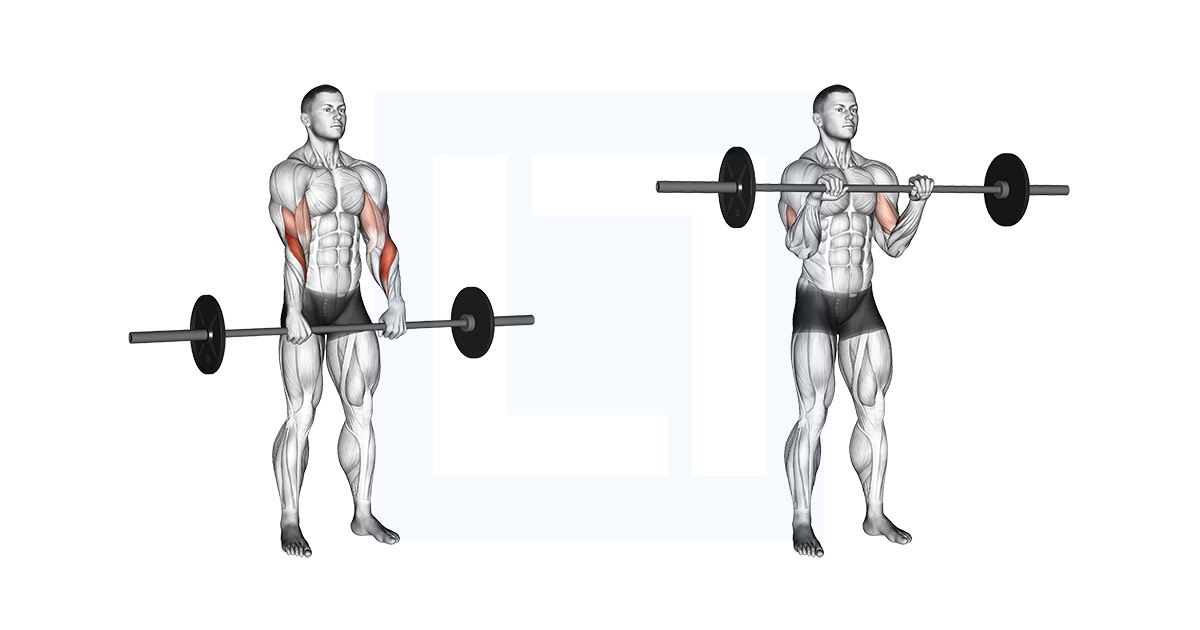 Barbell Standing Reverse Grip Curl