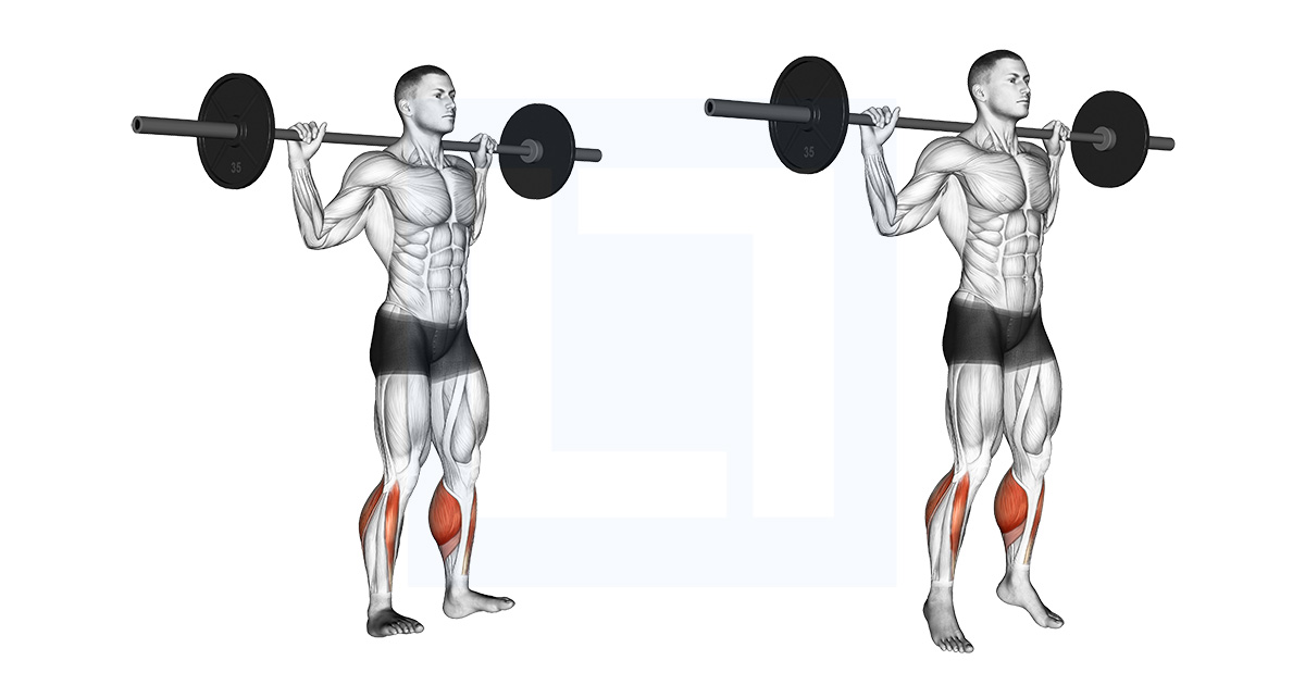 Barbell Standing Rocking Leg Calf Raise