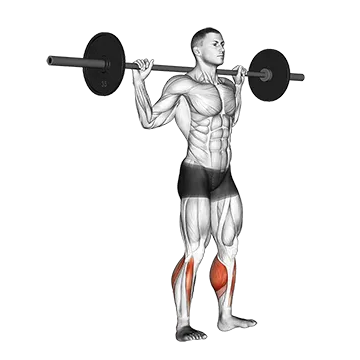 Barbell Standing Rocking Leg Calf Raise