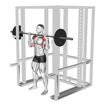 Barbell Standing Shoulder Pin Press