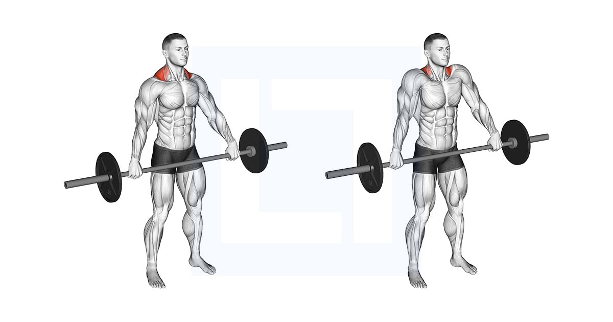 Barbell Standing Snatch Grip Shrug