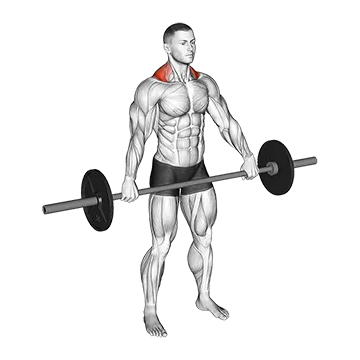 Barbell Standing Snatch Grip Shrug