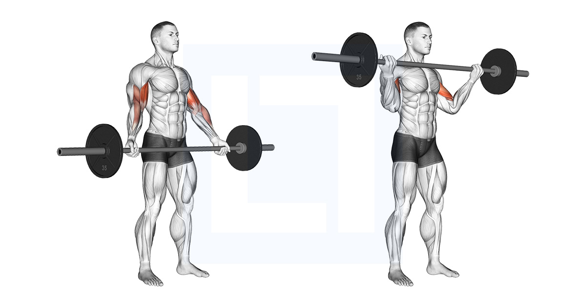 Dumbbell Standing Biceps Curl Guide Benefits And Form