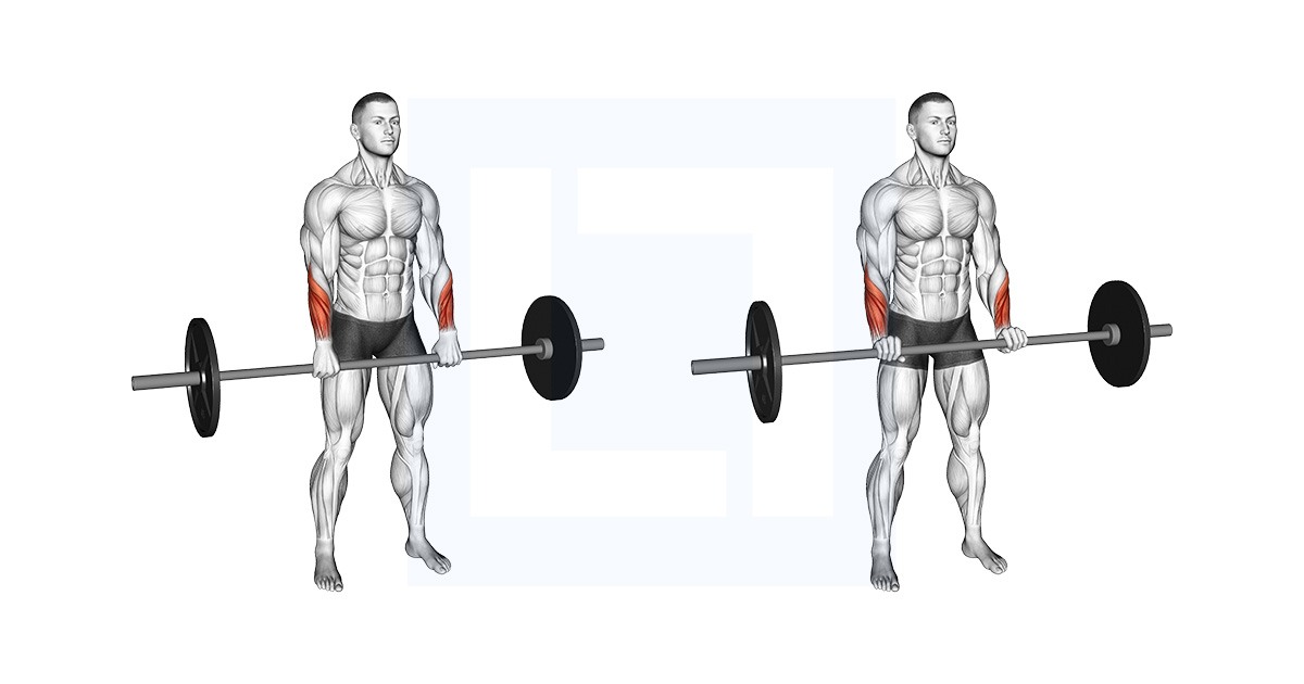 Barbell Standing Wrist Reverse Curl