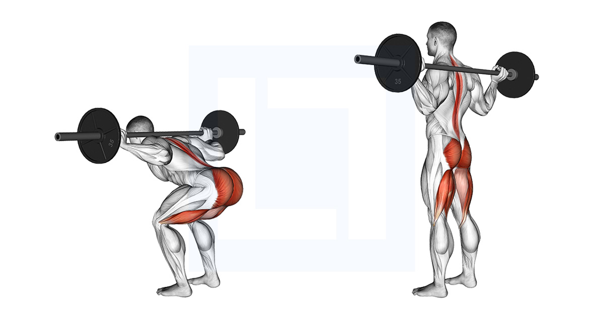 Barbell Stiff Leg Good Morning