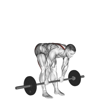 Best Barbell Leg Workouts Barbell Stiff Legged Deadlift