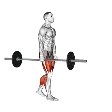 Best Barbell Forearm Workouts Barbell Suitcase Carry
