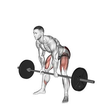 Best Barbell Hamstring Workouts Barbell Sumo Romanian Deadlift