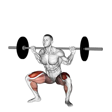 Best Inner Quad Workouts Barbell Sumo Squat