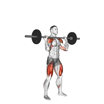 Best Full Body Barbell Workouts Barbell Thruster