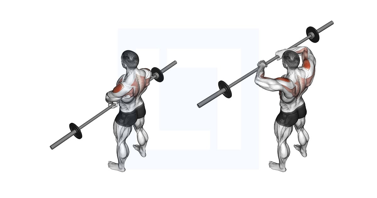 Barbell Upright Row Ii