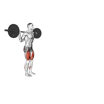 Best 5 Day Push Pull Legs Split Barbell Walking Lunge