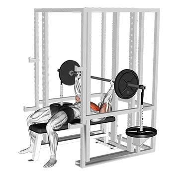 Barbell Weighted Bench Press