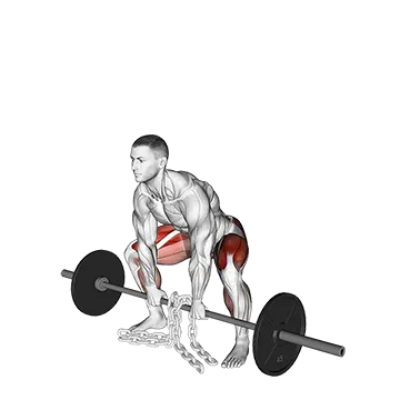 Barbell Weighted Chains Sumo Deadlift