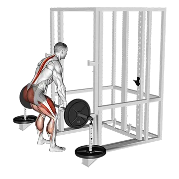 Barbell Weighted Deadlift