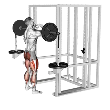 Barbell Weighted Front Chest Squat