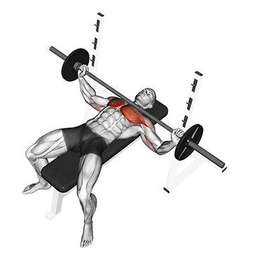 Barbell Wide Bench Press