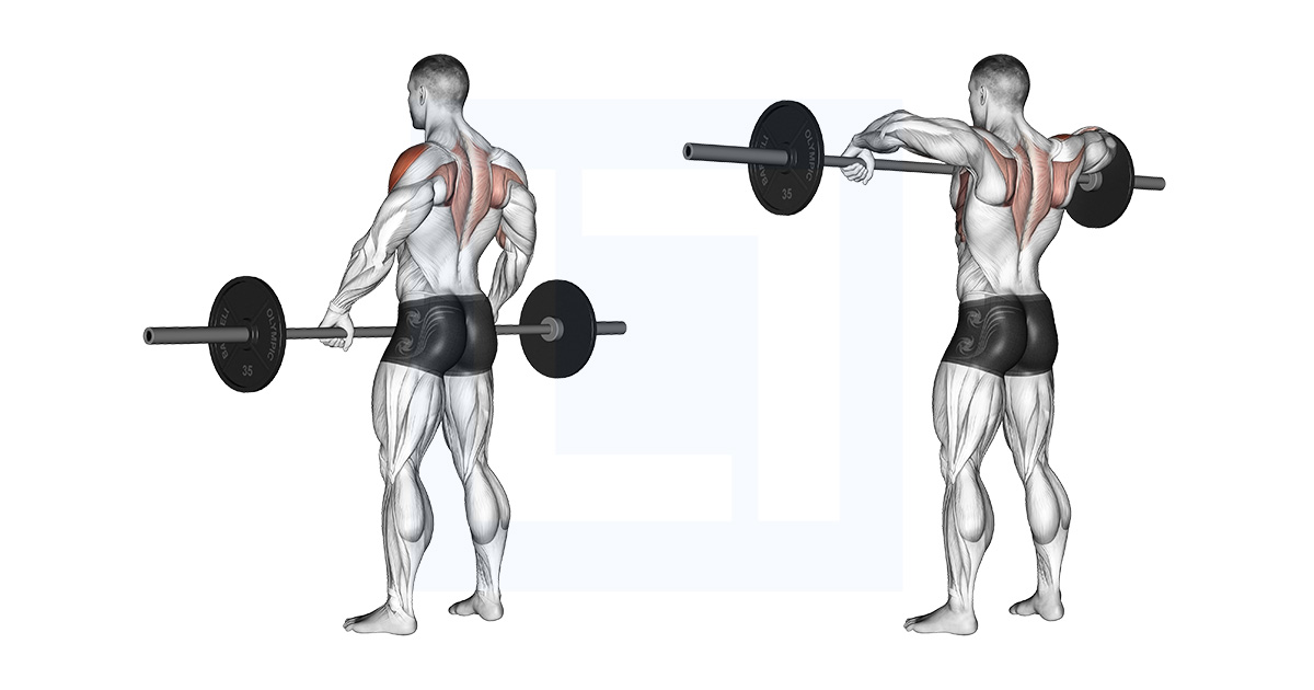 Barbell Upright Row Guide Benefits And Form