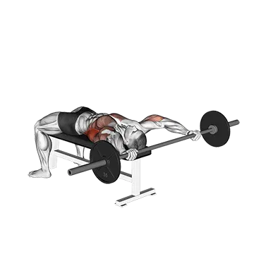 Barbell Wide Pullover