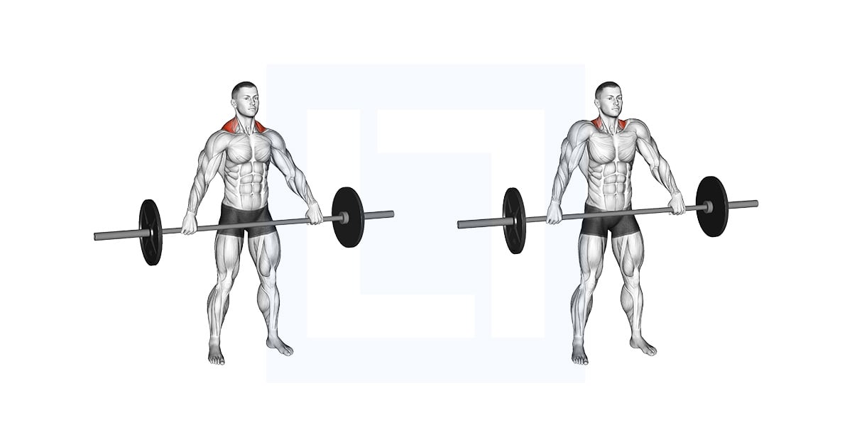 Barbell Wide Shrug