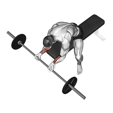 How To Grow Your Forearms Barbell Wrist Curl