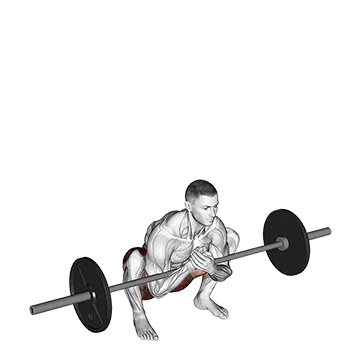 Barbell Zercher Deadlift