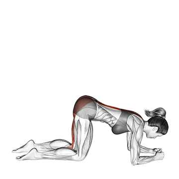 Basic to Cross Donkey Kick