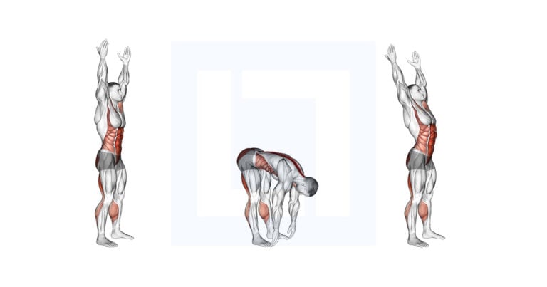 Toe Touch Classification Basic Toe Touch: Hamstring Stretch