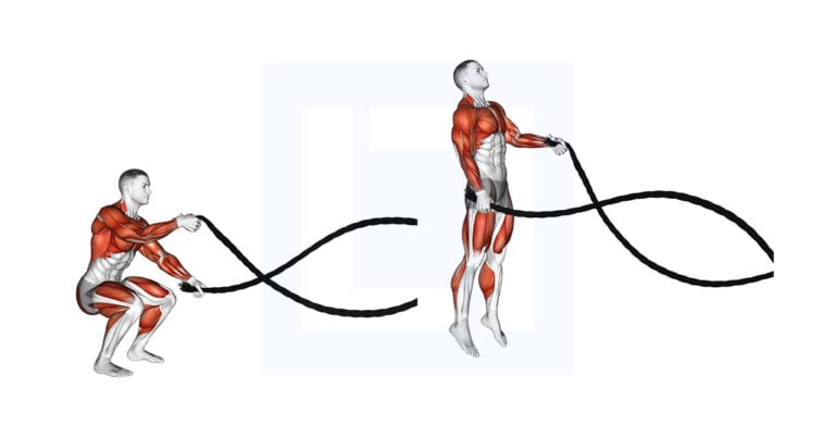 Jumping Battle Ropes Battling Ropes Alternate Arms Jump Squat Exercise Guide