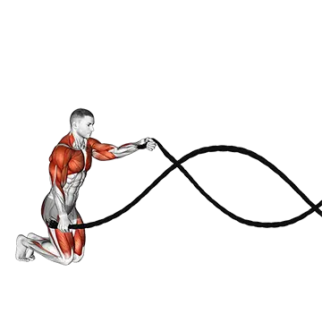 Battling Ropes Alternating Waves With Kneeling Get Up