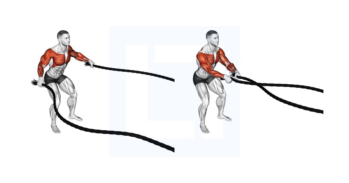 Battling Ropes Fly