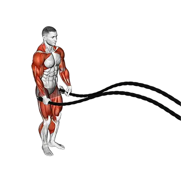 Battling Ropes Jumping Jack