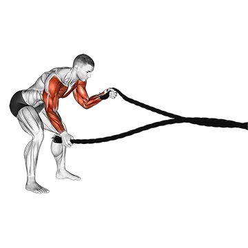 Battling Ropes Low Waves