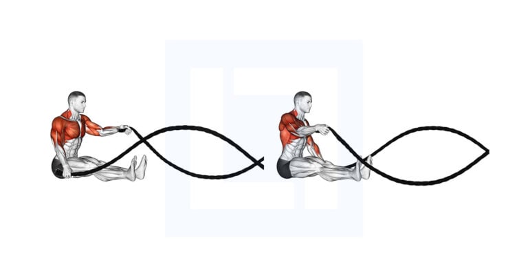 Battling Ropes Seated: Upper Body Cardio