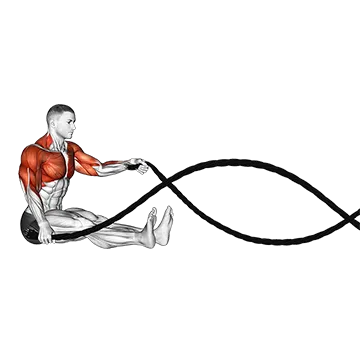 Battling Ropes Seated