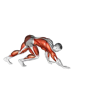 Best Bodyweight Hiit Workouts Bear Crawl