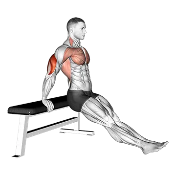 Best Calisthenics Tricep Workouts Bench Dip On Floor