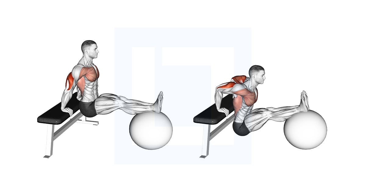 Bench Dip on Stability Ball