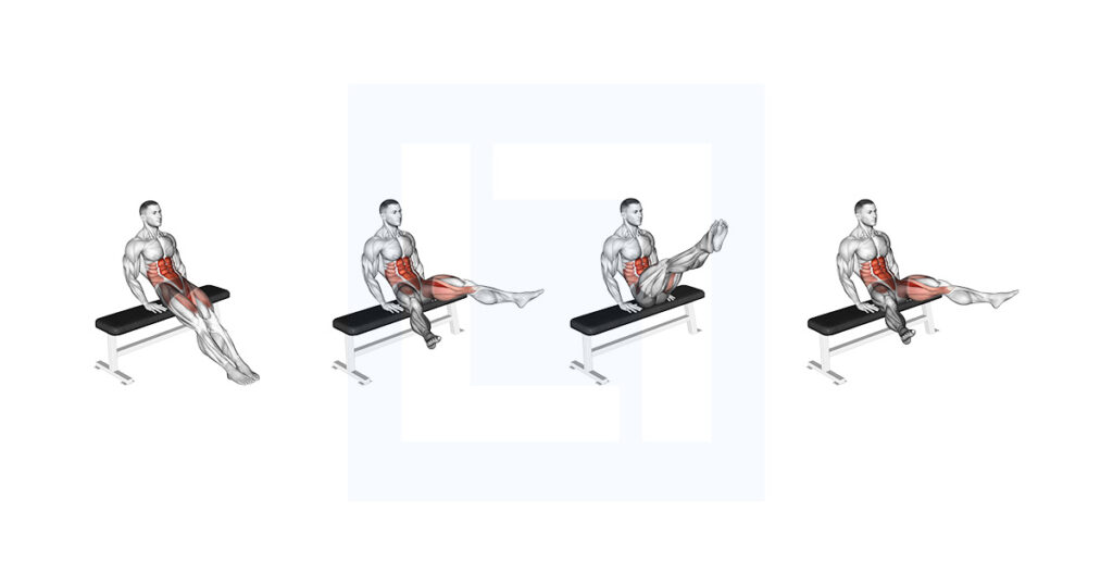 Bench Reverse Crunch with Circle