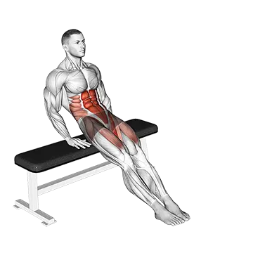 Bench Reverse Crunch Circle
