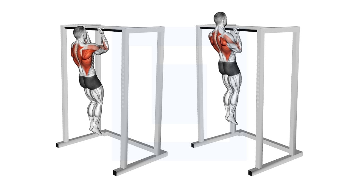 Bent Arms Chin Up